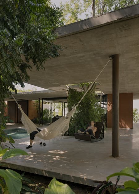 A Forest in the House